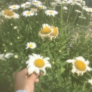 Meet your Posher, Gabriela